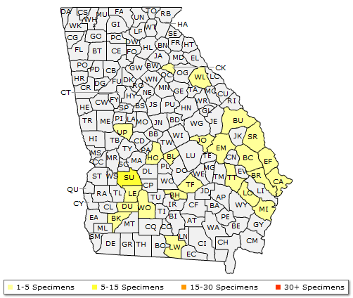 The range of Carya aquatica